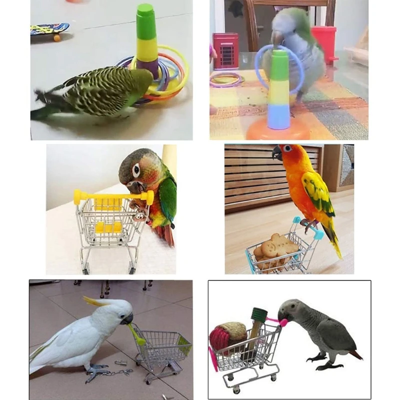 Pássaro 4 Tipos De Papagaio De Brinquedo Definir Incluem Basquete Brinquedo Skate Empilhamento De Brinquedos De Metal, Carrinho De Brinquedo Bola-De-Chácara De Brinquedo