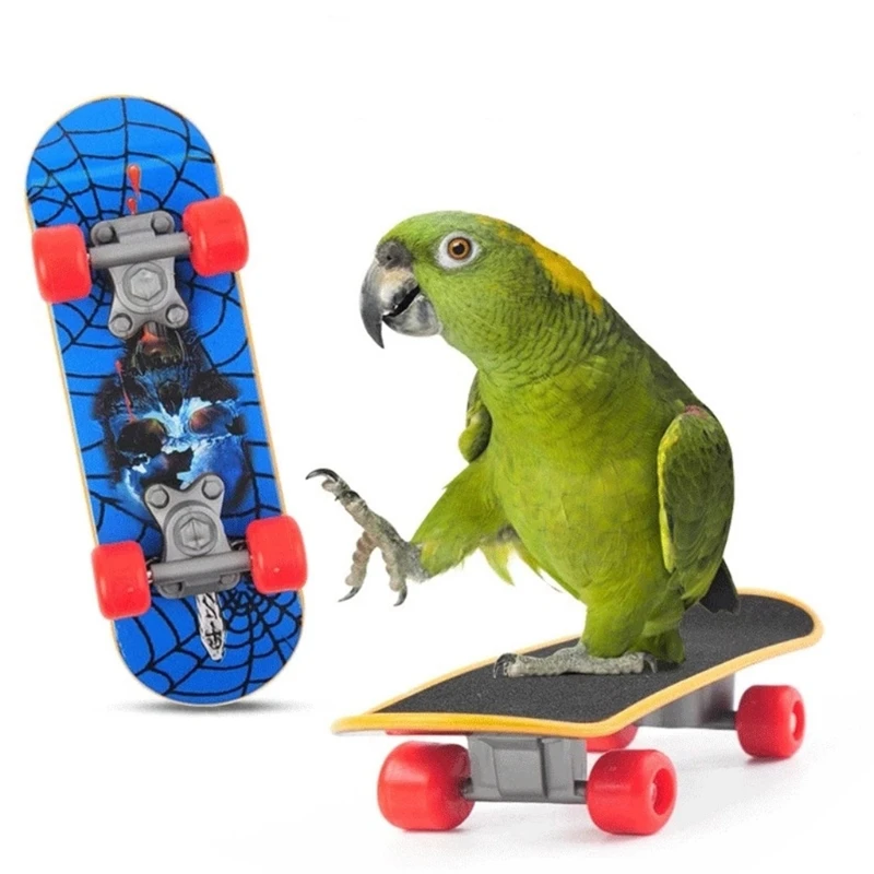 Pássaro 4 Tipos De Papagaio De Brinquedo Definir Incluem Basquete Brinquedo Skate Empilhamento De Brinquedos De Metal, Carrinho De Brinquedo Bola-De-Chácara De Brinquedo