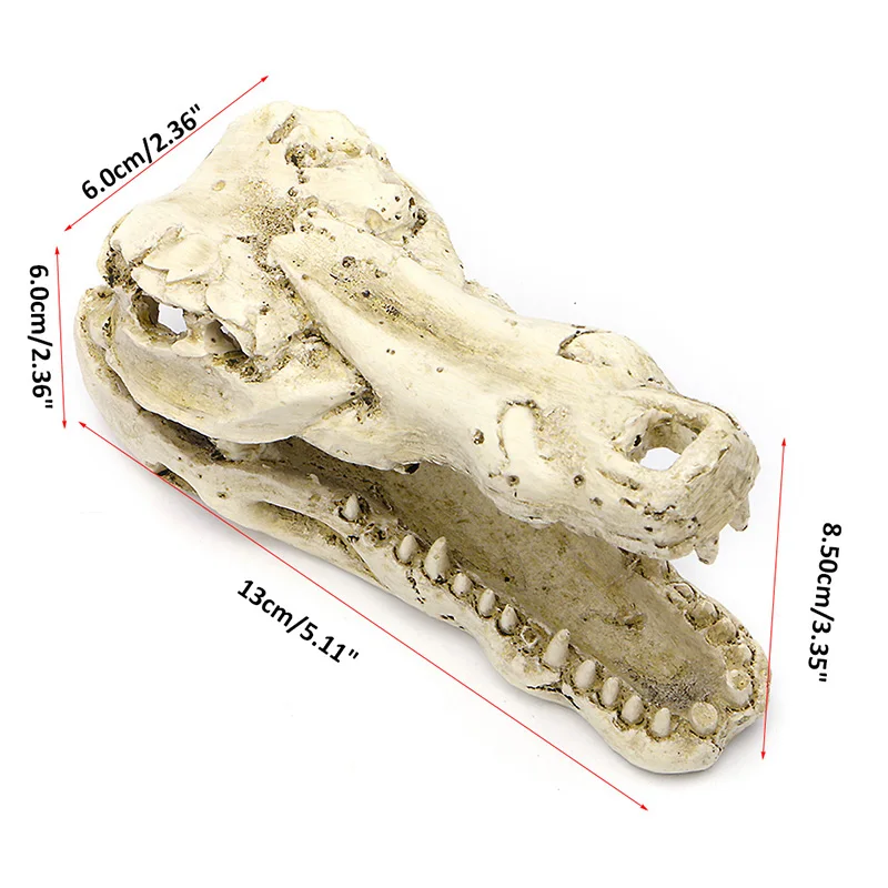 Resina Crânio de paisagens de Aquário para Peixes por Tanque de Simulação Esqueleto Caverna Ornamento Esconderijo de Camarão Peixe B03E