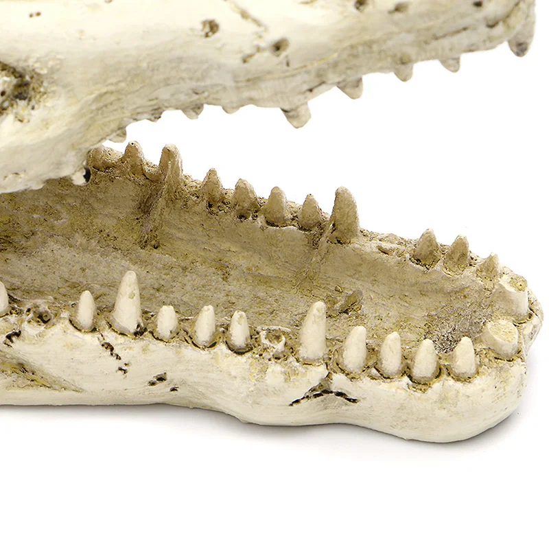 Resina Crânio de paisagens de Aquário para Peixes por Tanque de Simulação Esqueleto Caverna Ornamento Esconderijo de Camarão Peixe B03E